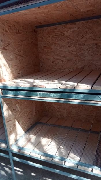  - Cușcă 2020 tineret