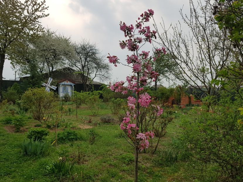  - 2020 Mart-Apr_Idilic garden