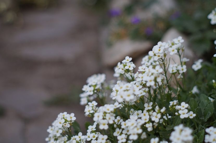  - APRILIE 2019- APRILIE 2020