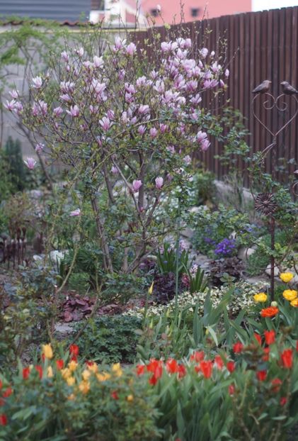  - APRILIE 2019- APRILIE 2020