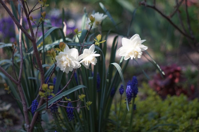  - APRILIE 2019- APRILIE 2020