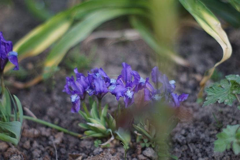  - APRILIE 2019- APRILIE 2020