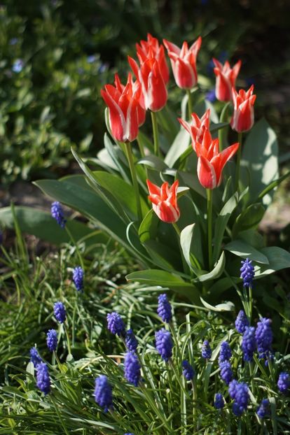  - APRILIE 2019- APRILIE 2020