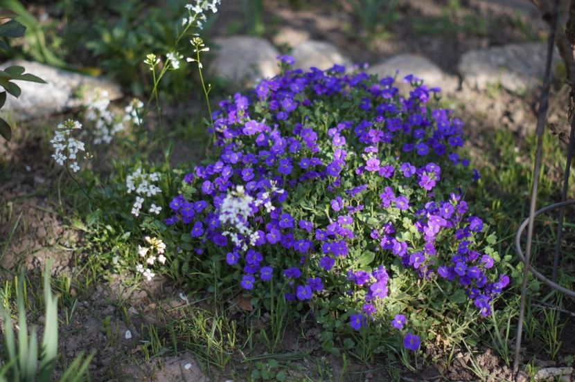  - APRILIE 2019- APRILIE 2020