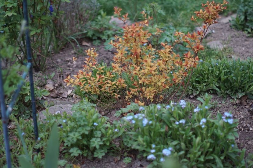  - APRILIE 2019- APRILIE 2020