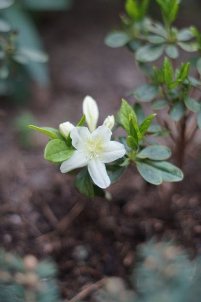  - APRILIE 2019- APRILIE 2020