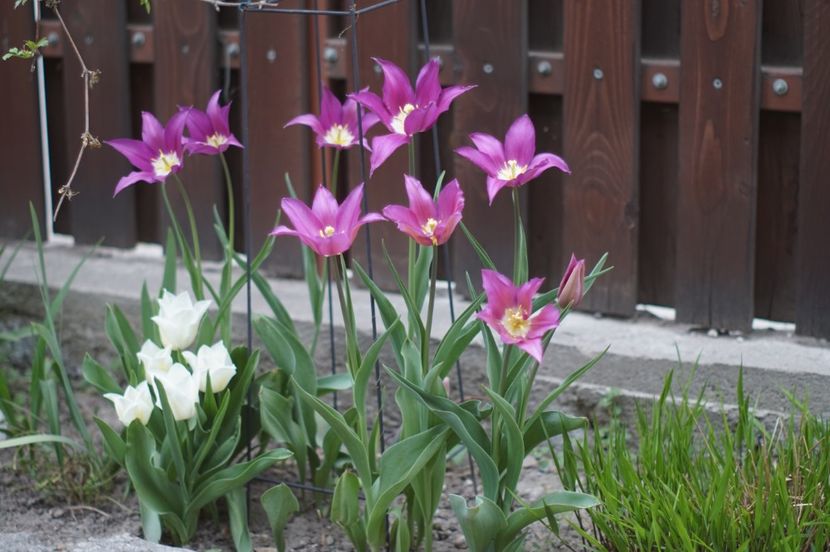  - APRILIE 2019- APRILIE 2020