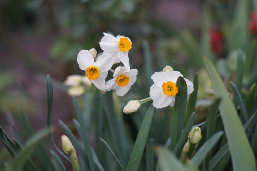  - APRILIE 2019- APRILIE 2020