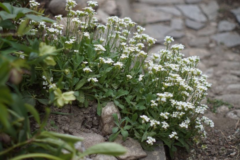  - APRILIE 2019- APRILIE 2020