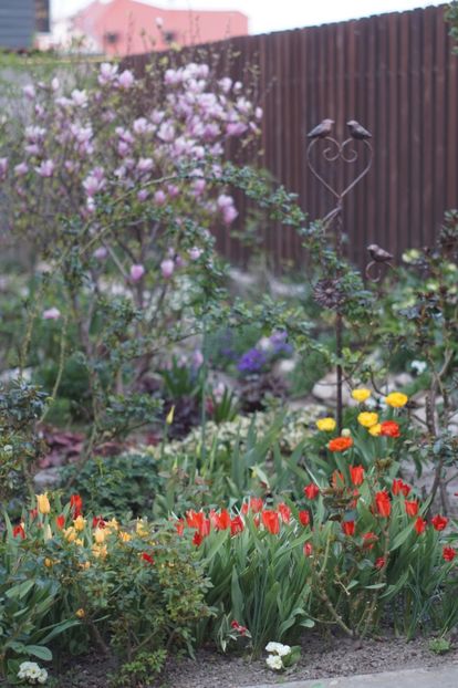  - APRILIE 2019- APRILIE 2020