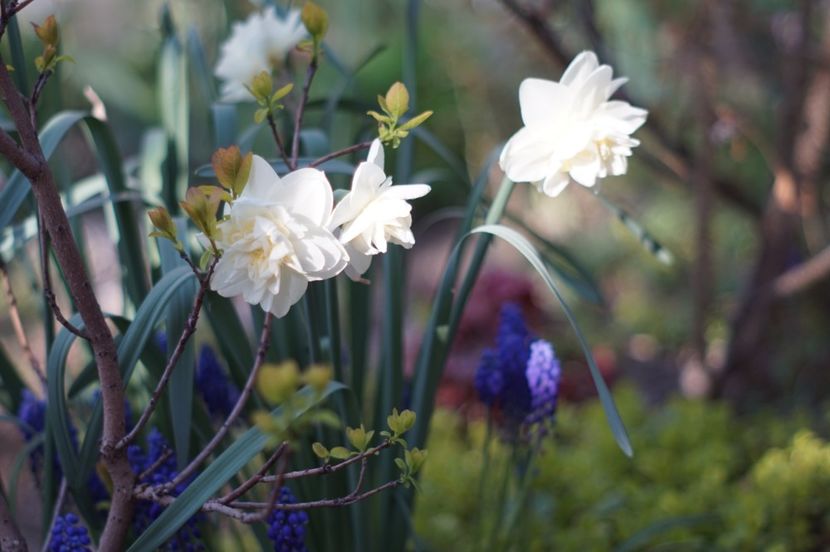  - APRILIE 2019- APRILIE 2020