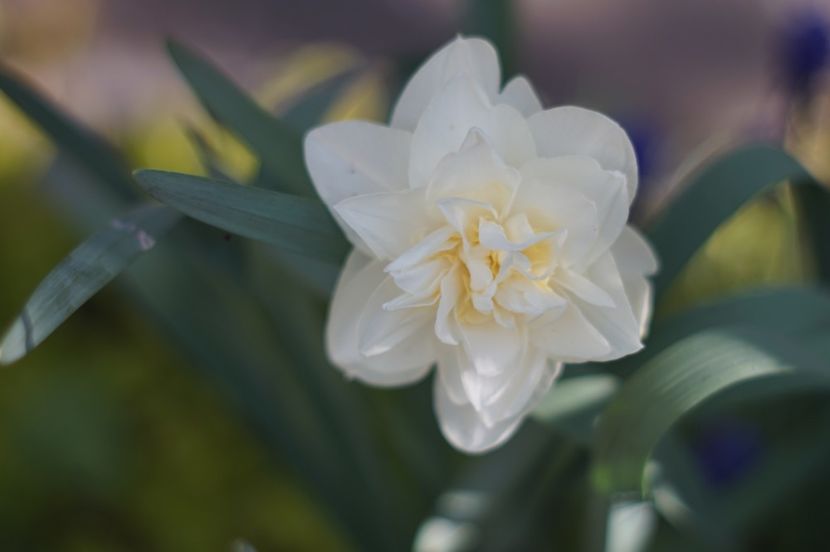  - APRILIE 2019- APRILIE 2020