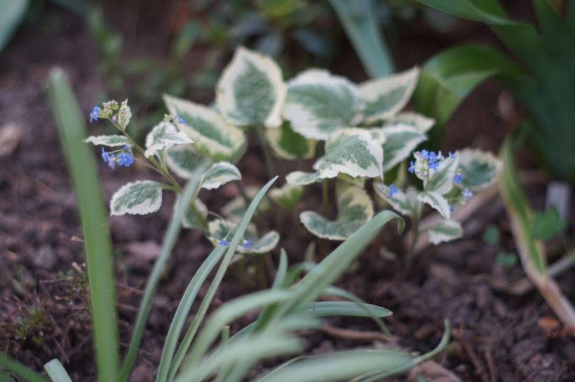  - APRILIE 2019- APRILIE 2020