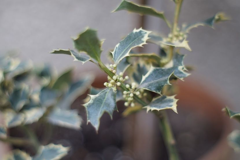  - APRILIE 2019- APRILIE 2020