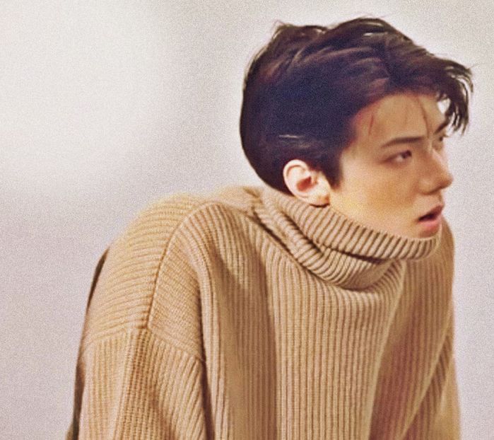 ⋗ Day 43 ⚘ Sehun ⚘ ☾ 14.04.2020 - 01 Je suis ma plus belle arme