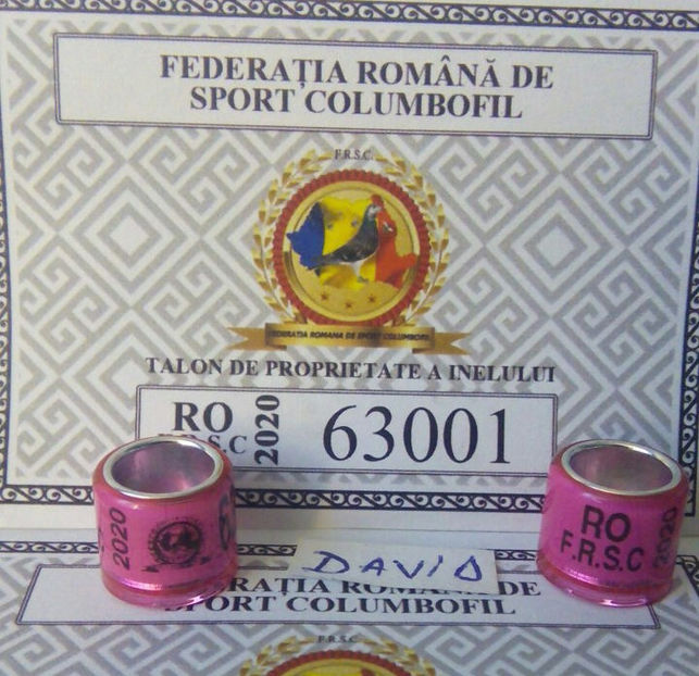 2020-FRSC+talon....-terminate - Inele porumbei 2020 de vanzare