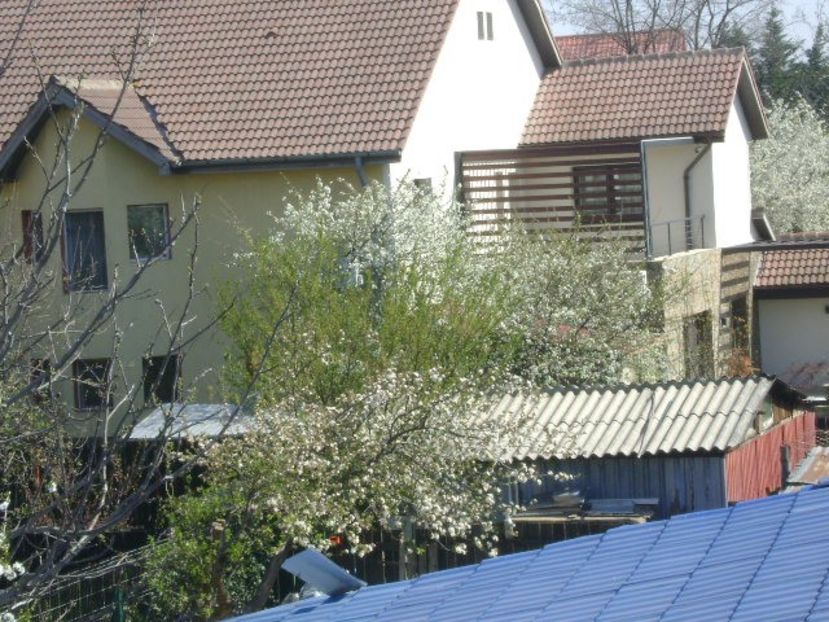 Primavara in cartier - Primavara 2020