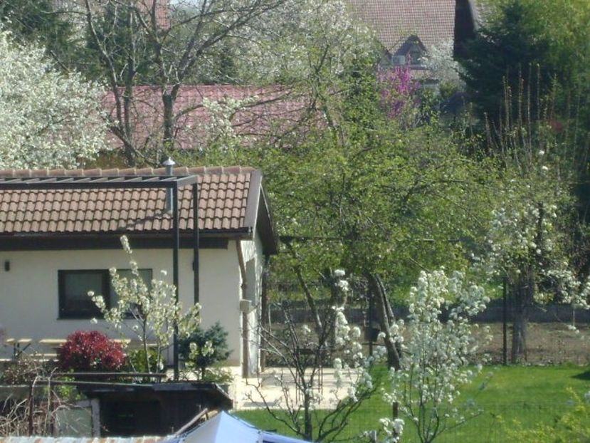 Primavara in cartier - Primavara 2020