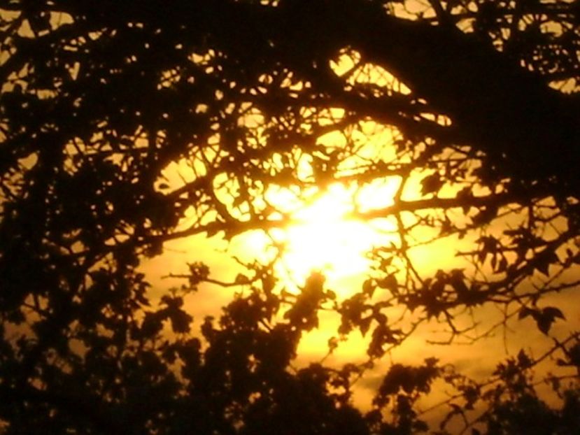 Apus de soare - Primavara 2020