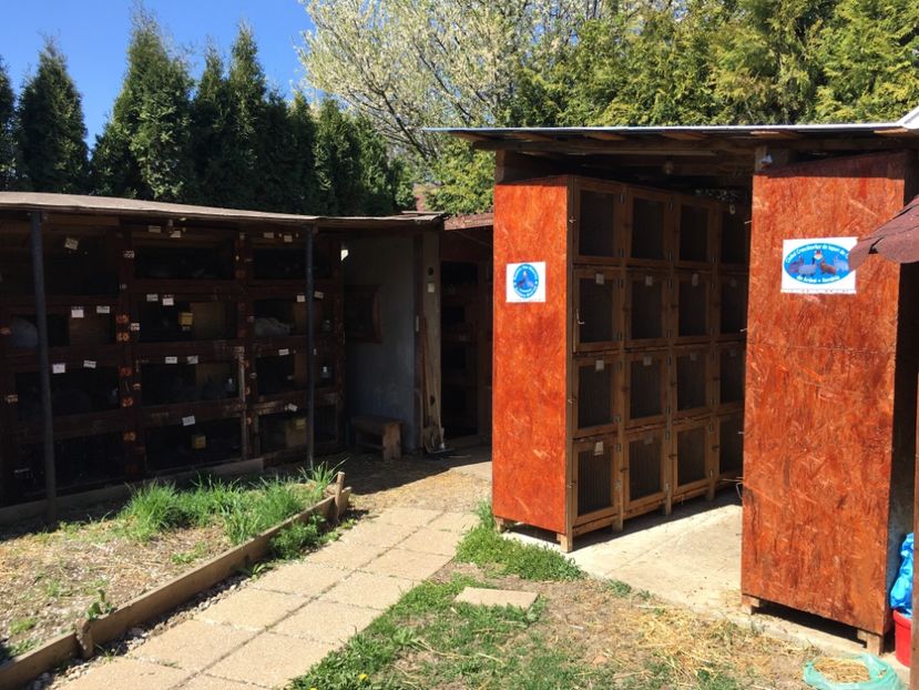 1C86CF30-BF4D-4467-9FB2-92BA064A8F3C - 6 Noul penthouse al urecheatilor