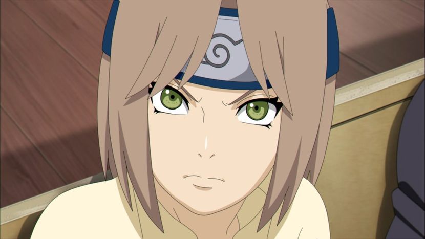 mino mica iar - 2017