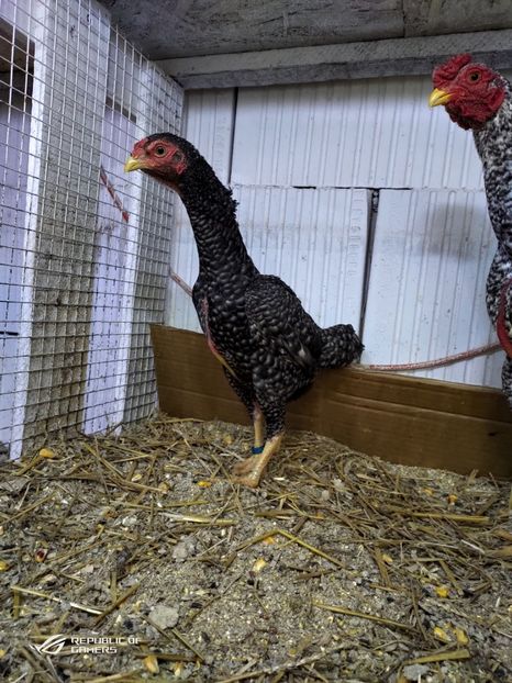 P_20200207_165109 - 2020