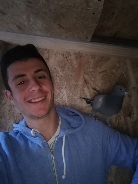  - 2020-Pui Seria întâi