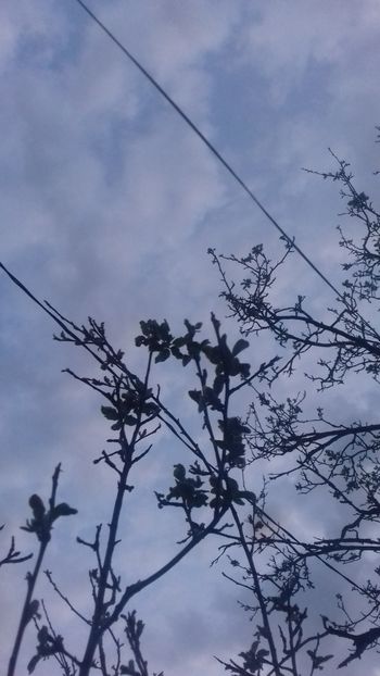  - - O - Fotografii x