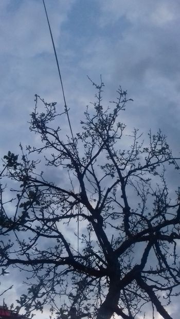  - - O - Fotografii x