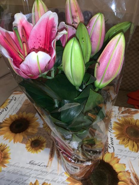 904C33B4-26DC-48FA-B701-47BD87D2259D - Florile mele 2020