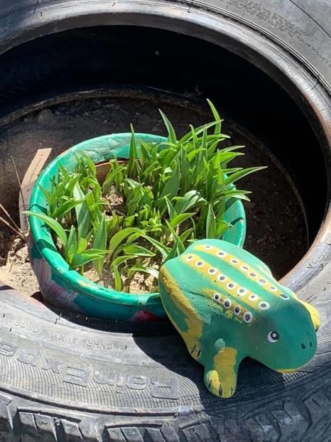 DC4257F3-1928-4F81-9BE3-39CA087481E4 - Florile mele 2020