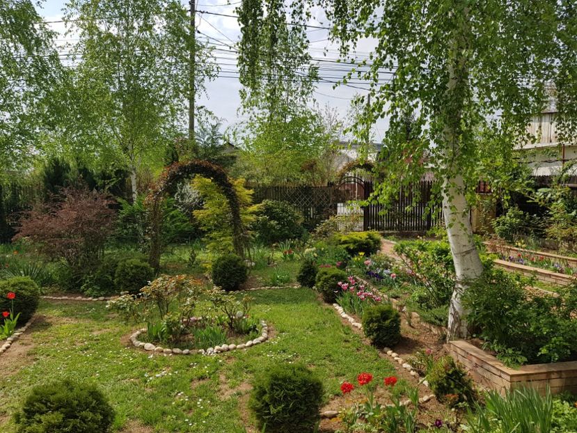  - 2020 Aprilie Gradina Rozelor