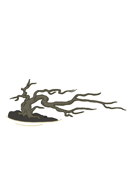 fukinagashi - batut de vant schita - Forme de crestere