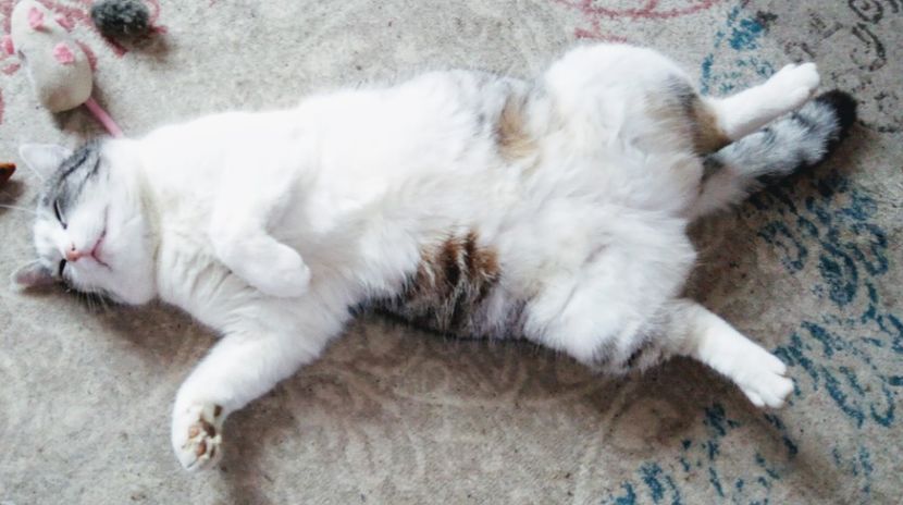  - - A - A - A - A- W A R N I N G !