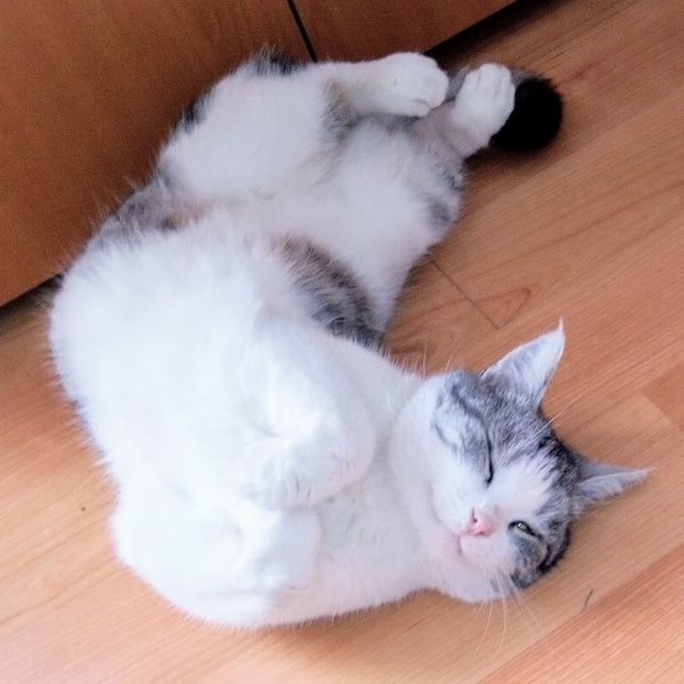 Fata noastră VLĂDUȚA - - A - A - A - A- W A R N I N G !