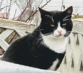  - - A - A - A - A- W A R N I N G !