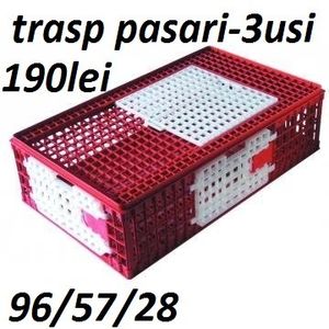 cusca-pasari-m2-plastic - LADA TRASP PORUMBEI