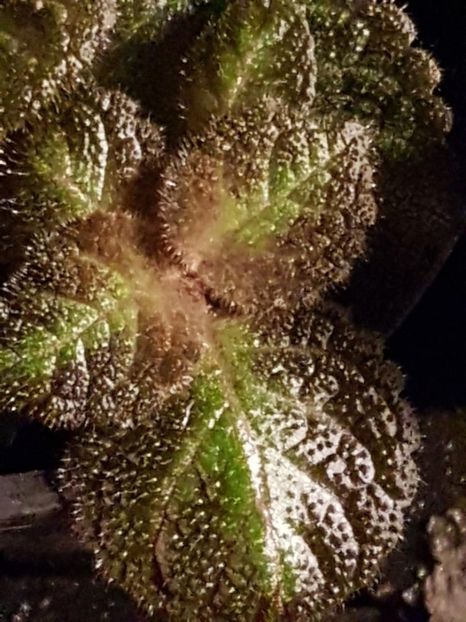 thumbnail - 2020-04-20T143802.684 - EPISCIA 2020
