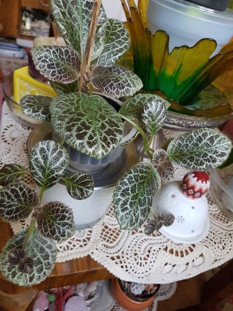 thumbnail - 2020-04-20T143835.139 - EPISCIA 2020