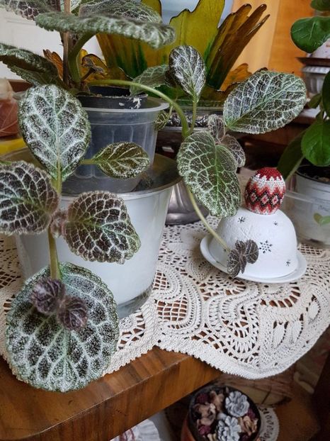 thumbnail - 2020-04-20T143844.659 - EPISCIA 2020