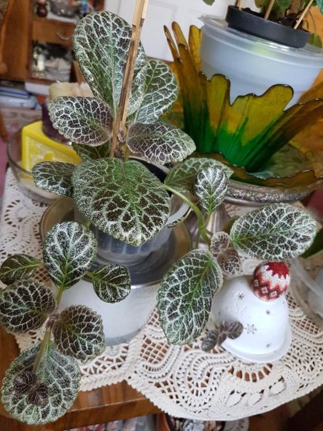 thumbnail - 2020-04-20T143902.694 - EPISCIA 2020