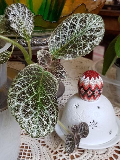 thumbnail (21) - EPISCIA 2020