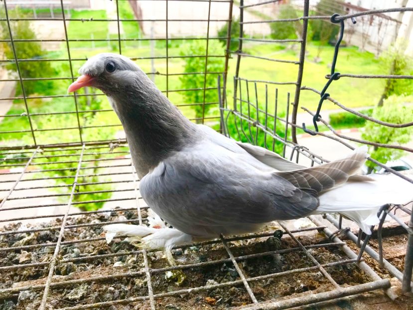 C1167480-54EE-45B7-AD67-90E55769EF8C - Pui Takla