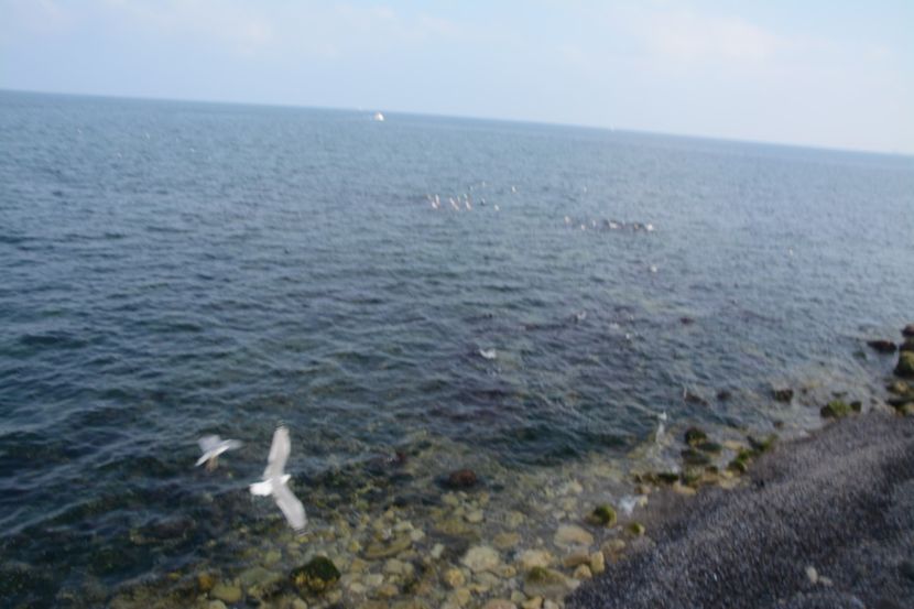  - 2019 18 20 octombrie 2019 CONSTANTA VIV