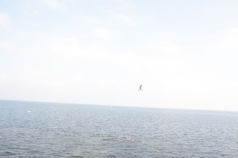  - 2019 18 20 octombrie 2019 CONSTANTA VIV