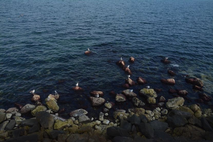  - 2019 18 20 octombrie 2019 CONSTANTA VIV