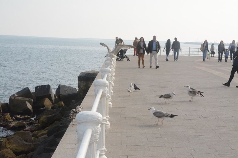  - 2019 18 20 octombrie 2019 CONSTANTA VIV