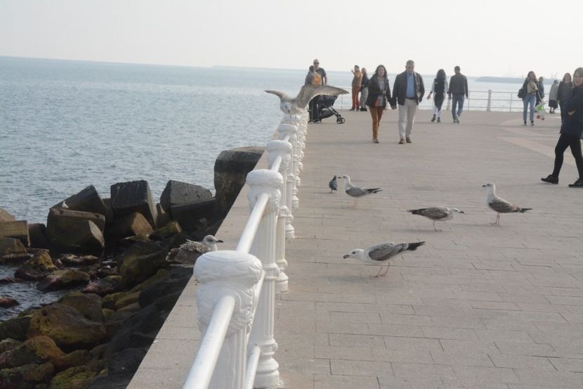  - 2019 18 20 octombrie 2019 CONSTANTA VIV