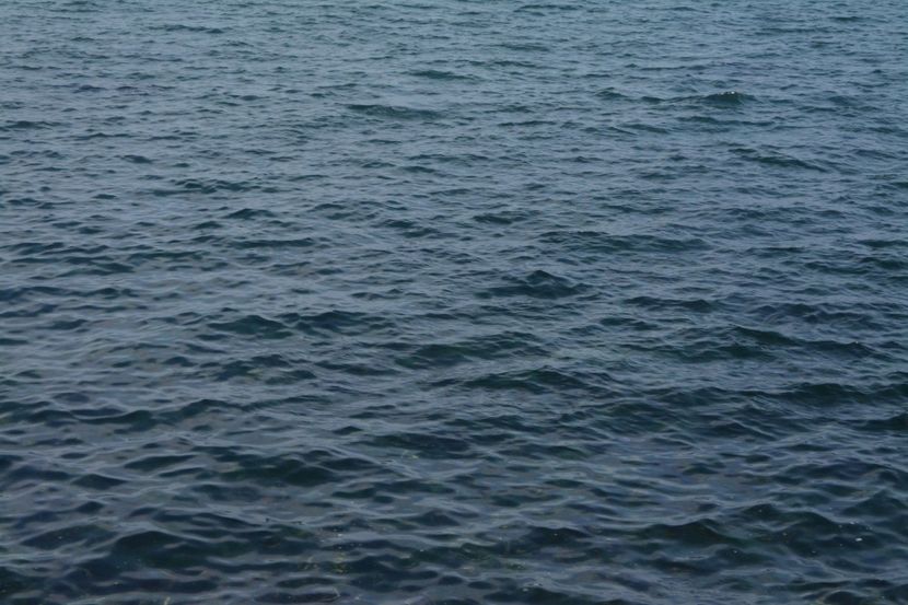  - 2019 18 20 octombrie 2019 CONSTANTA VIV