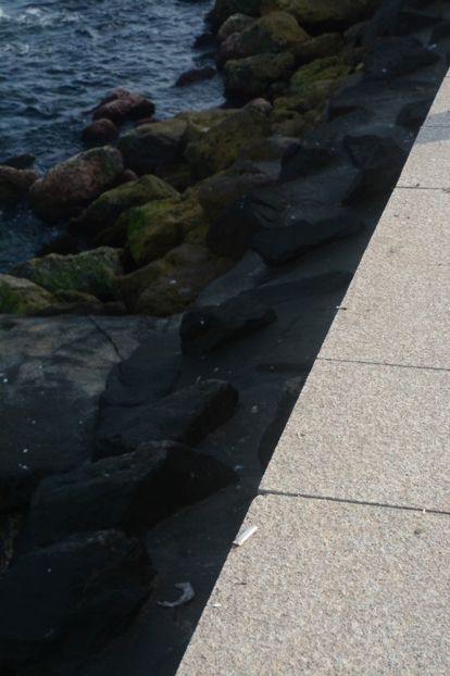  - 2019 18 20 octombrie 2019 CONSTANTA VIV